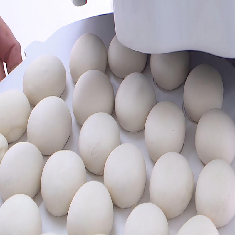 Commercial Industrial Automatic Electric Dough Divider Cutter for Bakeries-New 20pcs/min Wheat/Milk/Sugar/Flour/Corn/Egg