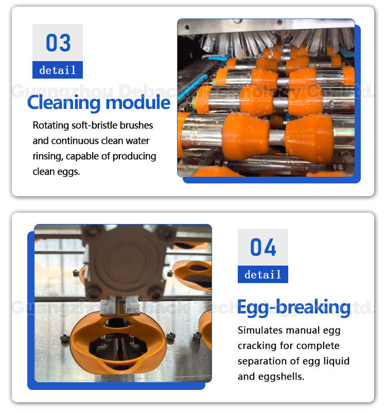 New Automatic Commercial Catering Egg Yolk and Egg White Separator Machine Automatic Egg White Separator